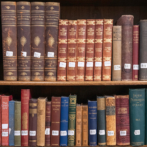 Massive Book Sale Thursday Nov 12 to Sunday Nov 15!